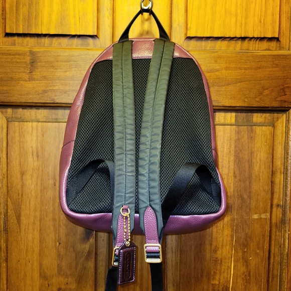 Coach Jes Berry Multi Pebbled Leather Small Backpack Varsity Stripe F89167 - Picture 14 of 16